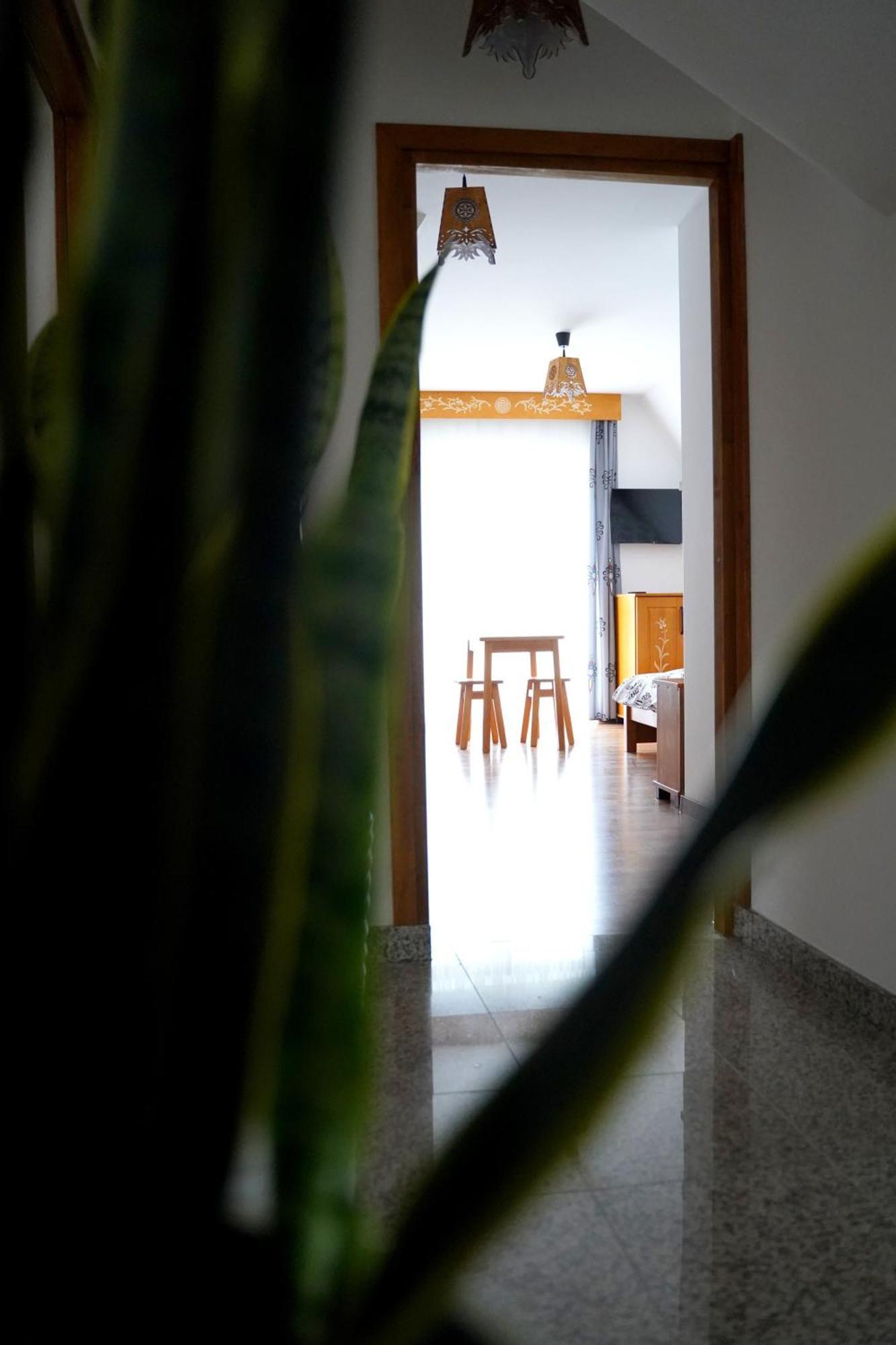 Apartamenty U Trebuniow Suche Eksteriør bilde
